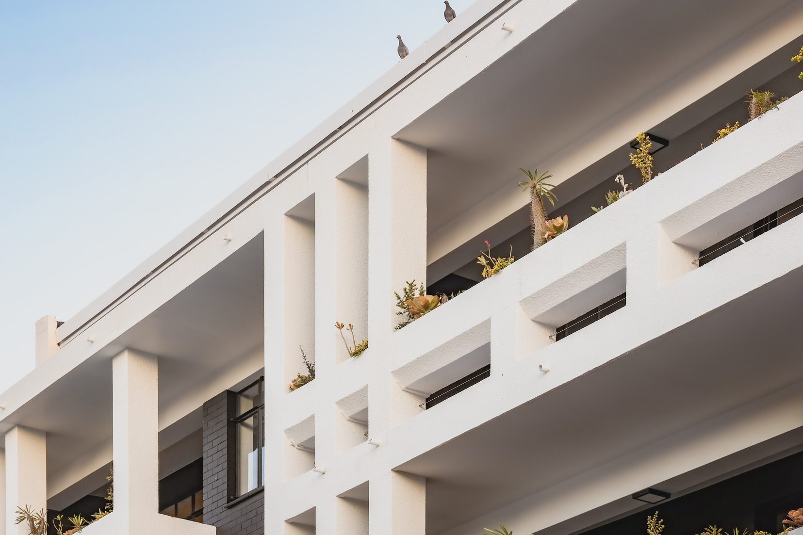 Front Facade detail - Delta Heights